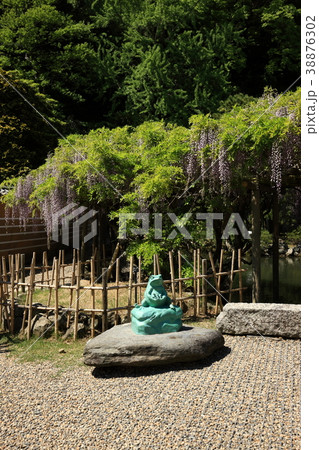 出雲大社より 出雲大社より 38876302