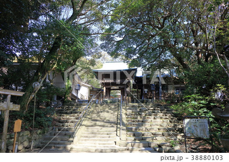 志賀海神社_福岡県福岡市東区志賀島_快晴・晴れ・青空 38880103