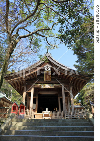 志賀海神社_福岡県福岡市東区志賀島_快晴・晴れ・青空 38880105