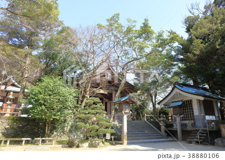 志賀海神社_福岡県福岡市東区志賀島_快晴・晴れ・青空 38880106