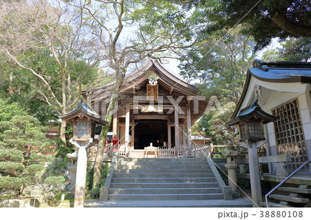 志賀海神社_福岡県福岡市東区志賀島_快晴・晴れ・青空 志賀海神社_福岡県福岡市東区志賀島_快晴・晴れ・青空 38880108