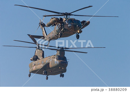 CH-47J / UH-60J(ヘリコプター 12月 那覇) CH-47J / UH-60J(ヘリコプター 12月 那覇) 38880209