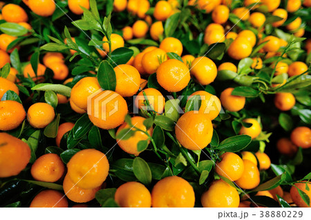 track lines on a ski slope left by a snowcat track lines on a ski slope left by a snowcat 38880229