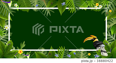 tropical leaves wiht bird backgrounds vectors tropical leaves wiht bird backgrounds vectors 38880422
