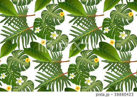 Seamless tropical pattern with palm leaves Seamless tropical pattern with palm leaves 38880423