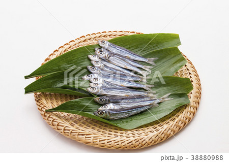 うるめ丸干 うるめ丸干 38880988