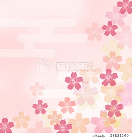 和柄　サクラ　市松模様　和風　和　日本的　和紙　桜 38881149