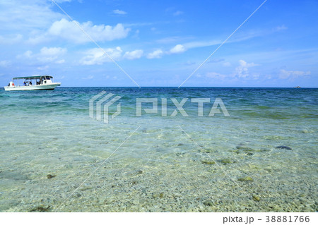 西表島 奇跡の島 バラス島 西表島 奇跡の島 バラス島 38881766