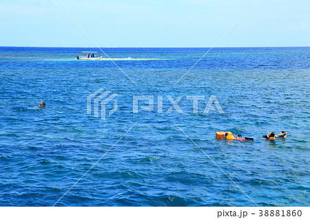 西表島 奇跡の島 バラス島 西表島 奇跡の島 バラス島 38881860