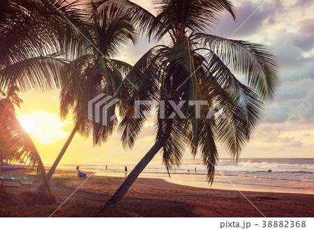 Coast in Costa Rica 38882368