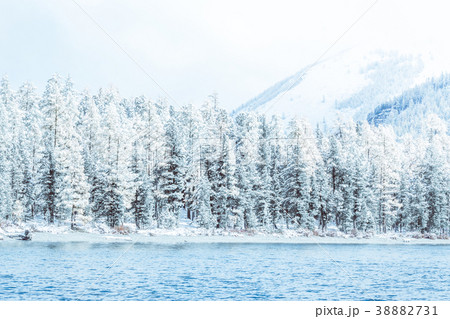 Winter mountain lake with snow-covered pine trees 38882731