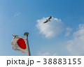 日の丸とカモメ 38883155