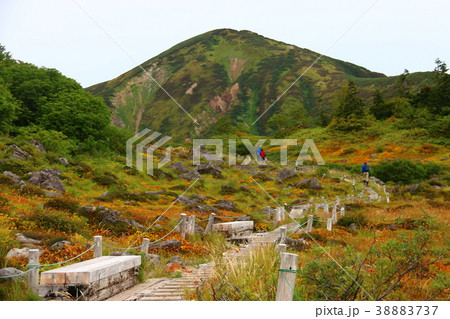 火打山　山頂への道 38883737