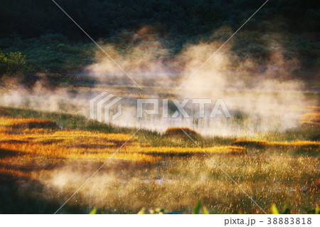 火打山 至福の高谷池テント場の朝靄 火打山 至福の高谷池テント場の朝靄 38883818