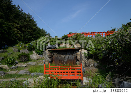 高山稲荷神社へ行きました　＃13 38883952