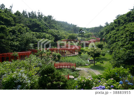 高山稲荷神社へ行きました　＃16 38883955