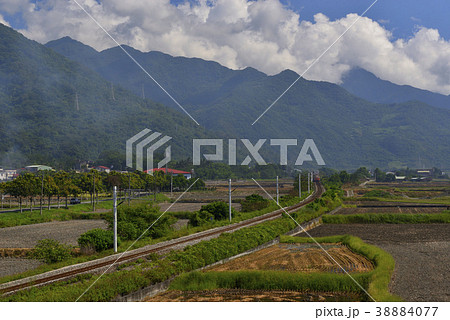 たんぼ 田んぼ 田圃 38884077
