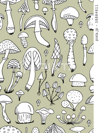 Mushrooms, seamless pattern for your design 38884811