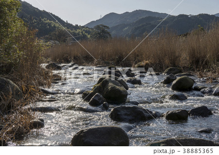 中ノ島公園 38885365