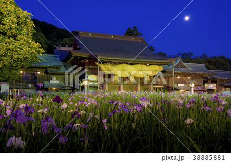 宮地嶽神社菖蒲まつり夜のライトアップの写真素材 3851