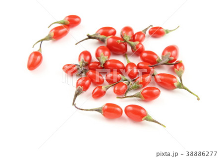 fresh goji berries isolated on a white background fresh goji berries isolated on a white background 38886277