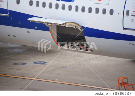 羽田空港 第2旅客ターミナル 羽田空港 第2旅客ターミナル 38886537
