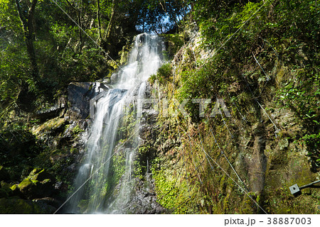 滝 滝 38887003
