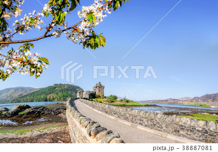 The Eilean Donan Castle with spring tree, Scotland 38887081