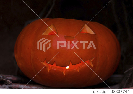 Halloween pumpkin in a forest. Close-up shot Halloween pumpkin in a forest. Close-up shot 38887744