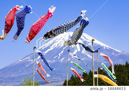 富士山と鯉のぼり、静岡県富士市富士山こどもの国にて 38888653
