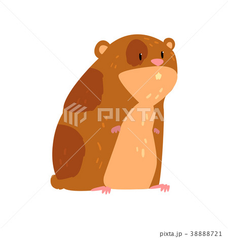 Cute Cartoon Hamster Character Funny Brown Rodentのイラスト素材 3721
