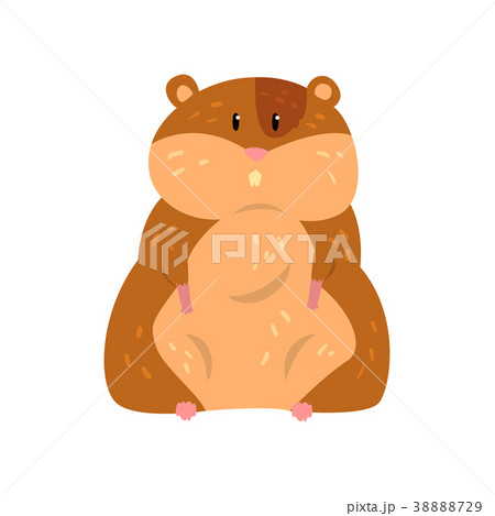 Cute Cartoon Hamster Character Sitting Funnyのイラスト素材 3729