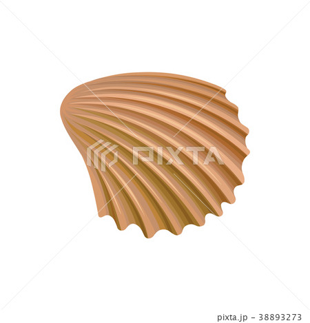 Scallop seashell of mollusk. Colorful marine itemのイラスト素材 [38893273] - PIXTA