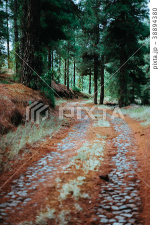 Old winding cobbledpath leading through an 38894380