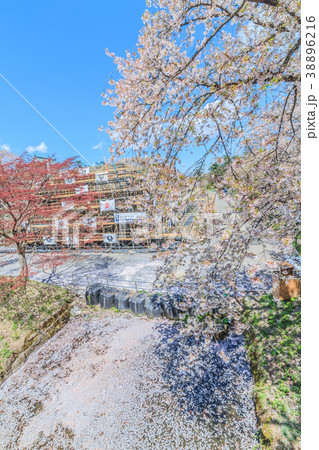 春の天守移転後の弘前城の風景 38896216