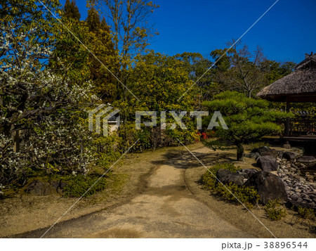 姫路城西御屋敷跡庭園好古園 姫路公園 姫路城内にある日本庭園 日本の庭園 姫路城西御屋敷跡庭園好古園 姫路公園 姫路城内にある日本庭園 日本の庭園 38896544