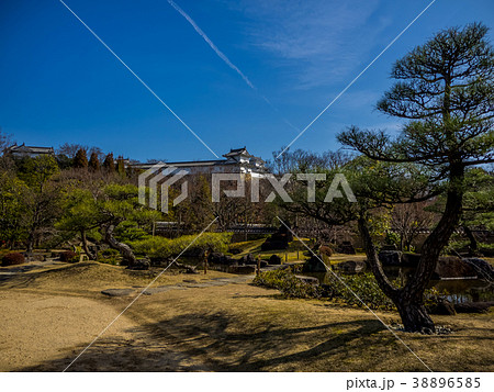 日本の美しい庭　姫路城西御屋敷跡庭園好古園 姫路公園　姫路城内にある日本庭園　庭木　盆栽 38896585