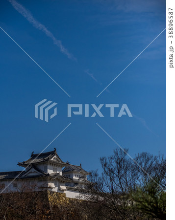日本の美しい庭 姫路城西御屋敷跡庭園好古園 姫路公園 姫路城内にある日本庭園 庭木 盆栽 日本の美しい庭 姫路城西御屋敷跡庭園好古園 姫路公園 姫路城内にある日本庭園 庭木 盆栽 38896587
