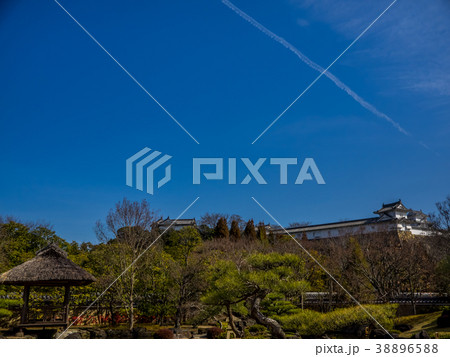 日本の美しい庭　姫路城西御屋敷跡庭園好古園 姫路公園　姫路城内にある日本庭園　庭木　盆栽 38896588