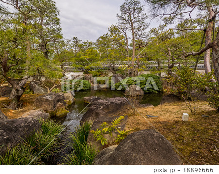 日本の美しい庭　姫路城西御屋敷跡庭園好古園 姫路公園　姫路城内にある日本庭園　庭木　盆栽 38896666