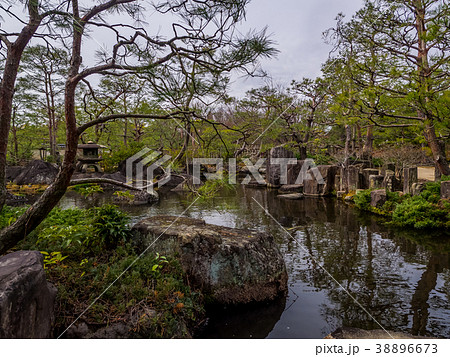 日本の美しい庭　姫路城西御屋敷跡庭園好古園 姫路公園　姫路城内にある日本庭園　庭木　盆栽 38896673