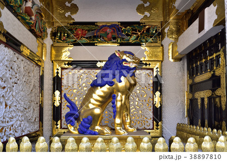 日光東照宮陽明門の獅子像吽形の写真素材 [38897810] - PIXTA