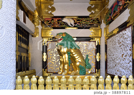 日光東照宮陽明門の獅子像阿形の写真素材 [38897811] - PIXTA