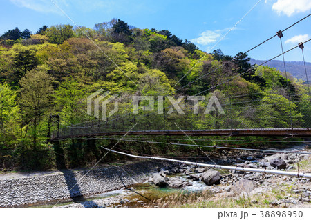 栃木県那須塩原市　板室　那珂川と吊り橋（5月） 38898950