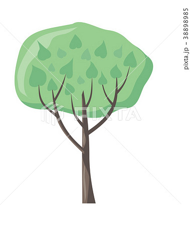 Vector Tree with Green Leaves. Green Stylish Plant 38898985