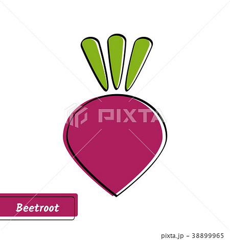Flat beetroot education card with black contour 38899965