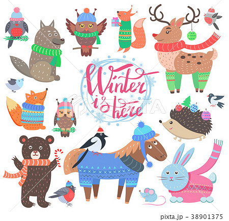 Winter is Here Poster Animals Vector Illustration 38901375
