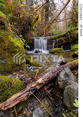 Small Waterfall in the Mountains of N. California Small Waterfall in the Mountains of N. California 38902823