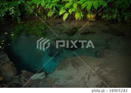 男池湧水群　湧き水 38905282