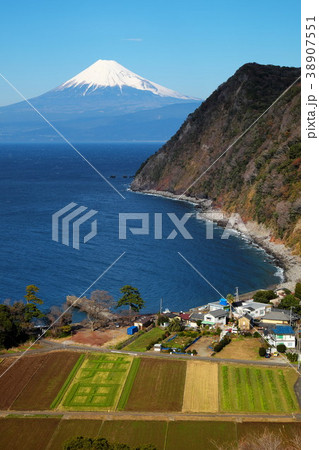 西伊豆井田からの富士山（縦） 38907551